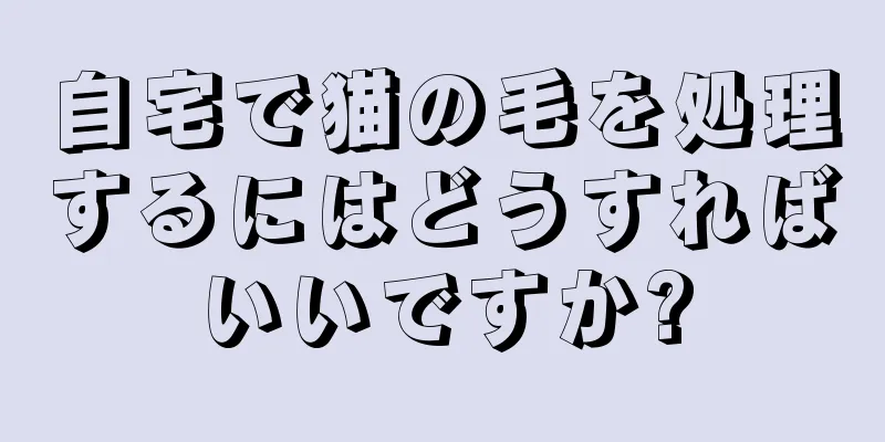 自宅で猫の毛を処理するにはどうすればいいですか?