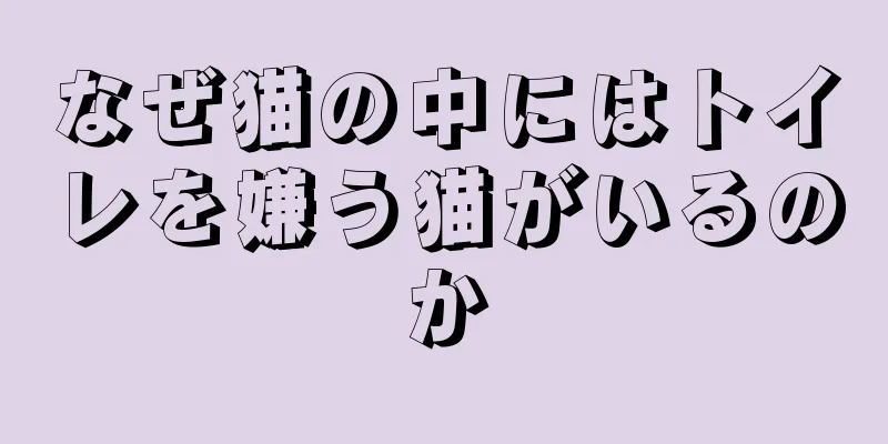 なぜ猫の中にはトイレを嫌う猫がいるのか