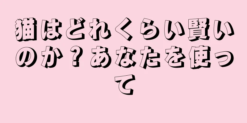 猫はどれくらい賢いのか？あなたを使って