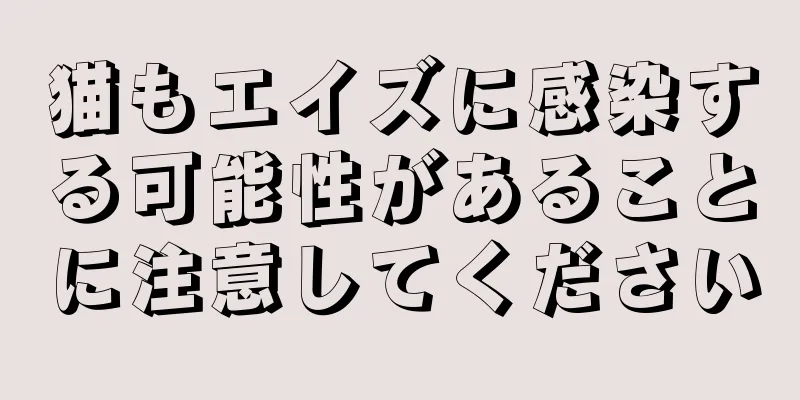 猫もエイズに感染する可能性があることに注意してください
