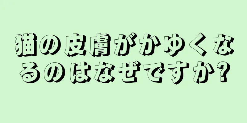 猫の皮膚がかゆくなるのはなぜですか?