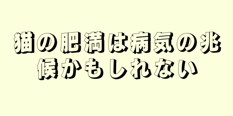 猫の肥満は病気の兆候かもしれない