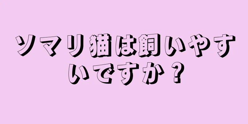 ソマリ猫は飼いやすいですか？