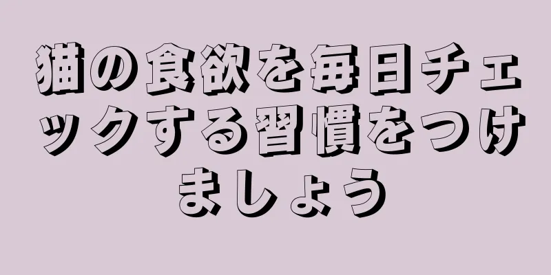 猫の食欲を毎日チェックする習慣をつけましょう
