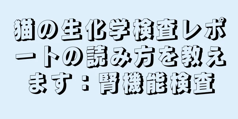 猫の生化学検査レポートの読み方を教えます：腎機能検査