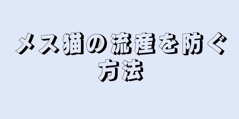 メス猫の流産を防ぐ方法