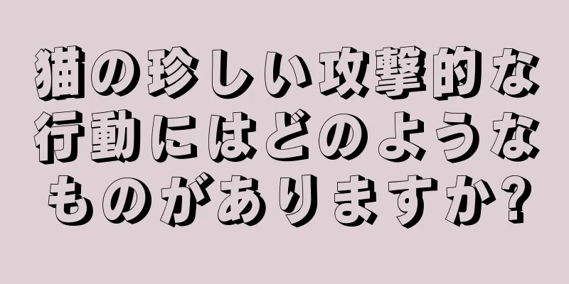猫の珍しい攻撃的な行動にはどのようなものがありますか?