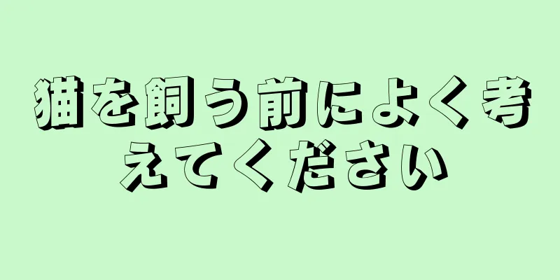 猫を飼う前によく考えてください
