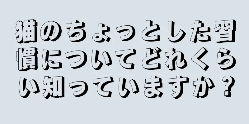 猫のちょっとした習慣についてどれくらい知っていますか？
