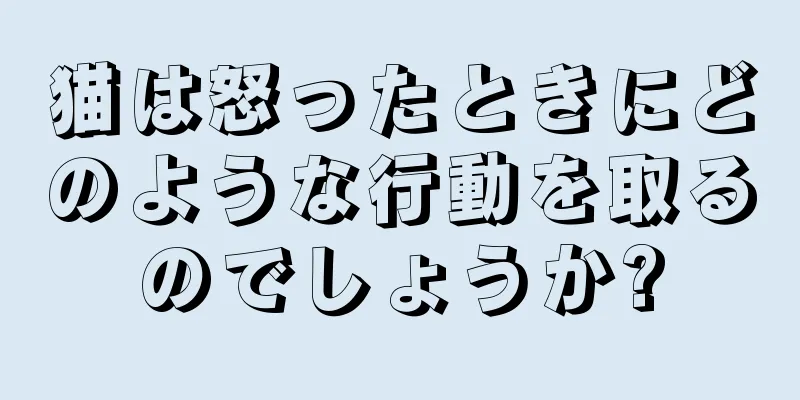 猫は怒ったときにどのような行動を取るのでしょうか?