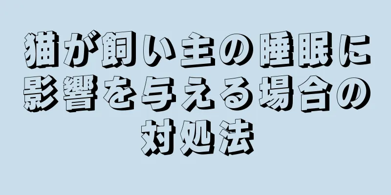 猫が飼い主の睡眠に影響を与える場合の対処法