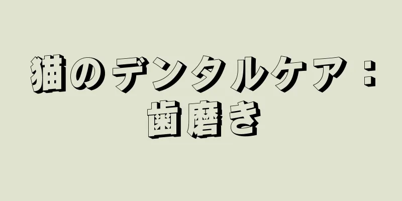 猫のデンタルケア：歯磨き