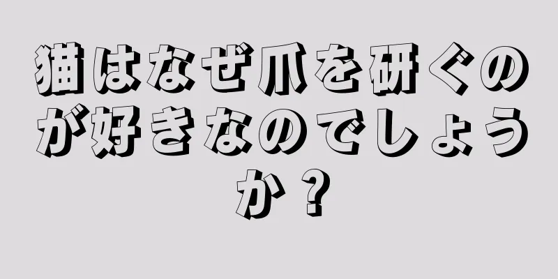 猫はなぜ爪を研ぐのが好きなのでしょうか？