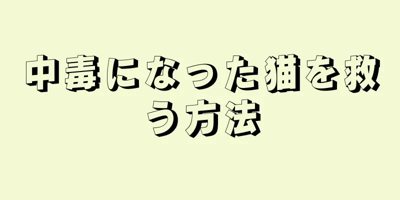 中毒になった猫を救う方法