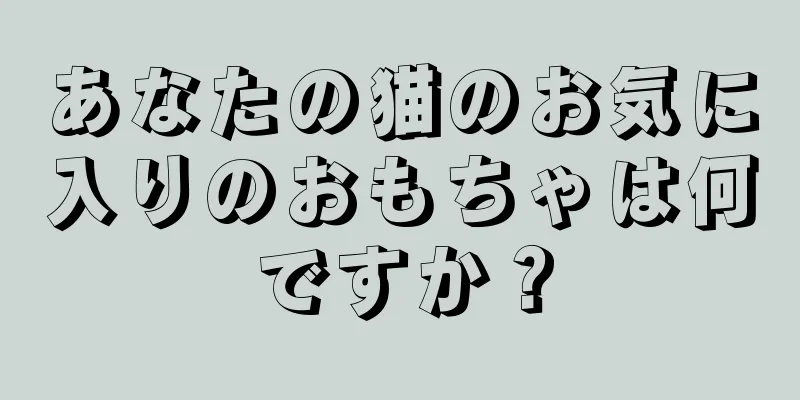 あなたの猫のお気に入りのおもちゃは何ですか？