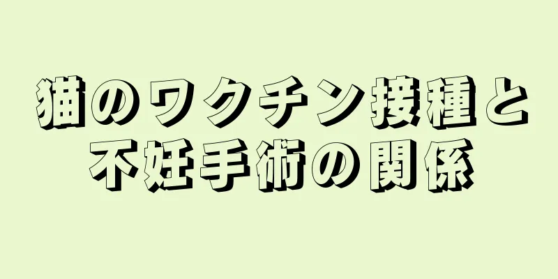 猫のワクチン接種と不妊手術の関係