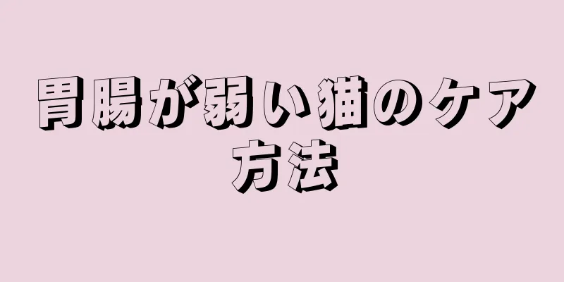 胃腸が弱い猫のケア方法