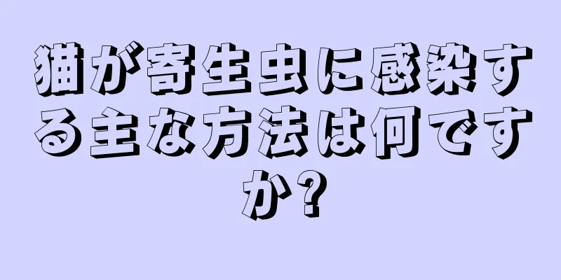 猫が寄生虫に感染する主な方法は何ですか?