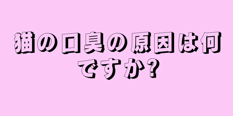 猫の口臭の原因は何ですか?