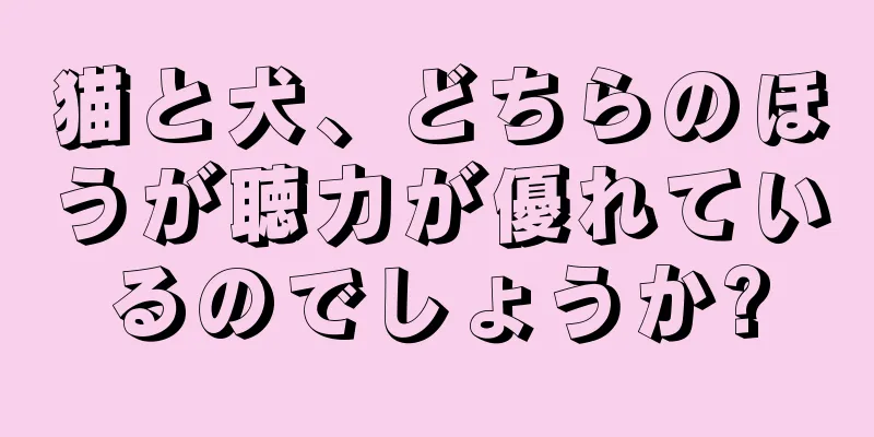 猫と犬、どちらのほうが聴力が優れているのでしょうか?