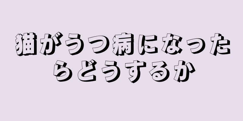 猫がうつ病になったらどうするか