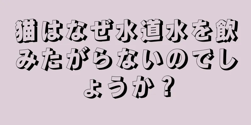 猫はなぜ水道水を飲みたがらないのでしょうか？