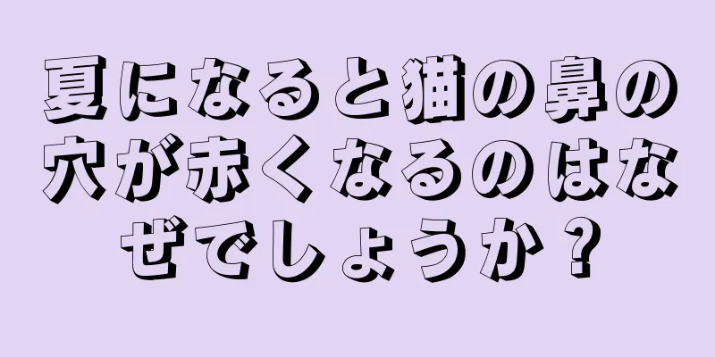 夏になると猫の鼻の穴が赤くなるのはなぜでしょうか？