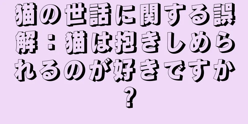猫の世話に関する誤解：猫は抱きしめられるのが好きですか？