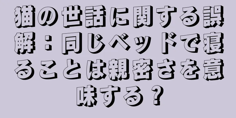 猫の世話に関する誤解：同じベッドで寝ることは親密さを意味する？