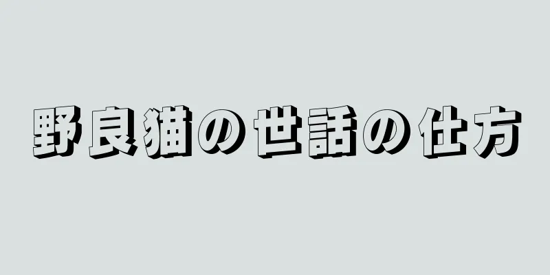 野良猫の世話の仕方