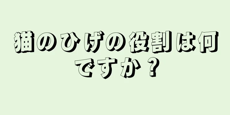 猫のひげの役割は何ですか？