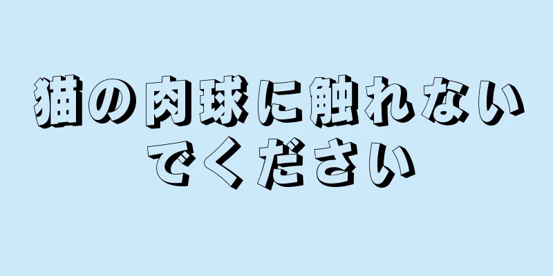 猫の肉球に触れないでください
