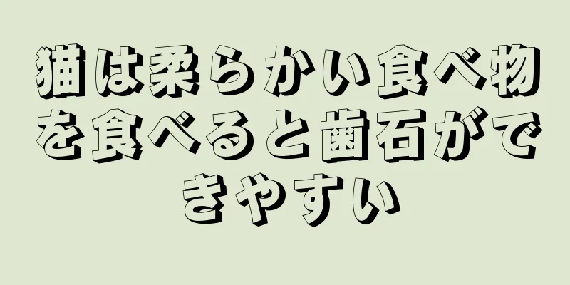 猫は柔らかい食べ物を食べると歯石ができやすい