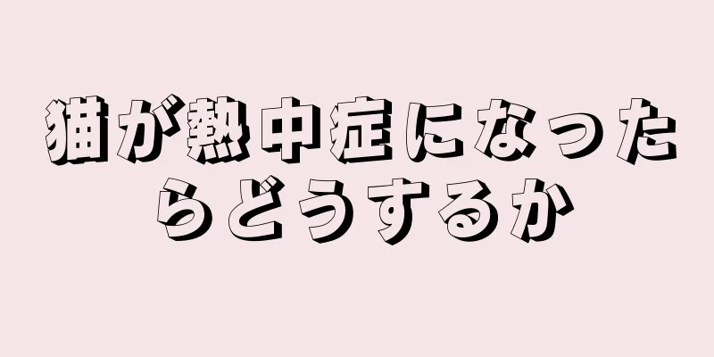 猫が熱中症になったらどうするか