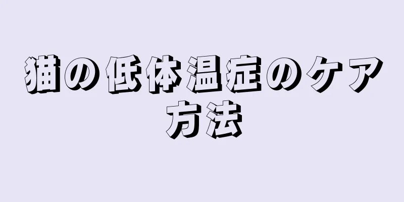 猫の低体温症のケア方法