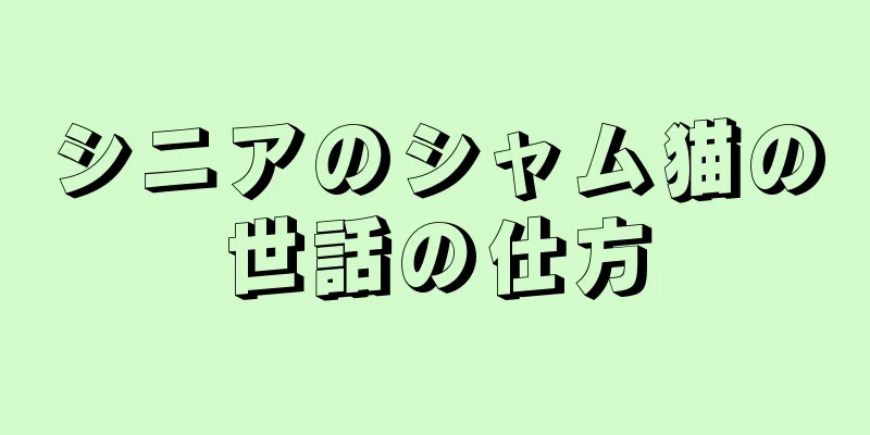 シニアのシャム猫の世話の仕方