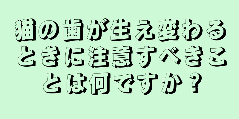 猫の歯が生え変わるときに注意すべきことは何ですか？