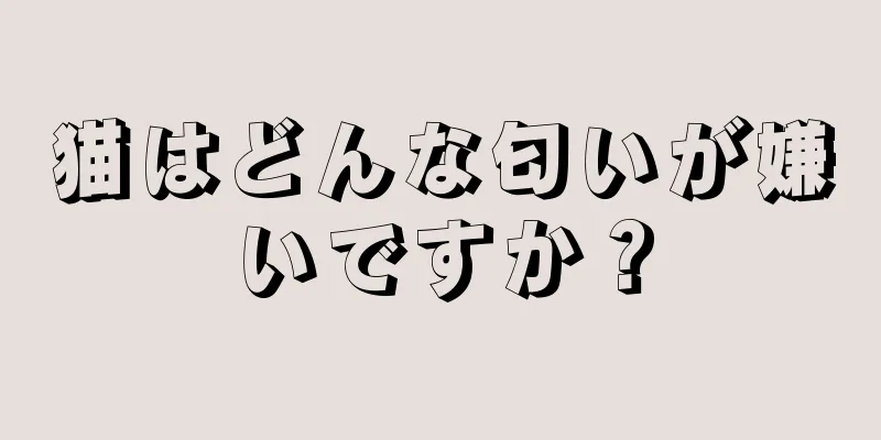 猫はどんな匂いが嫌いですか？