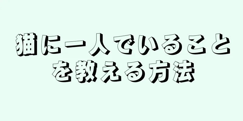 猫に一人でいることを教える方法