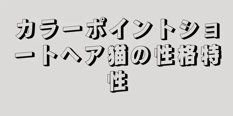 カラーポイントショートヘア猫の性格特性