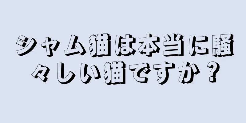 シャム猫は本当に騒々しい猫ですか？