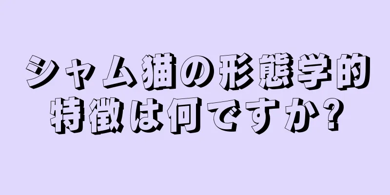 シャム猫の形態学的特徴は何ですか?