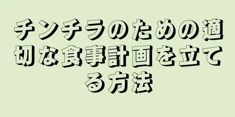 チンチラのための適切な食事計画を立てる方法