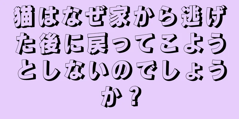 猫はなぜ家から逃げた後に戻ってこようとしないのでしょうか？