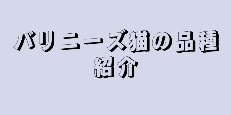 バリニーズ猫の品種紹介