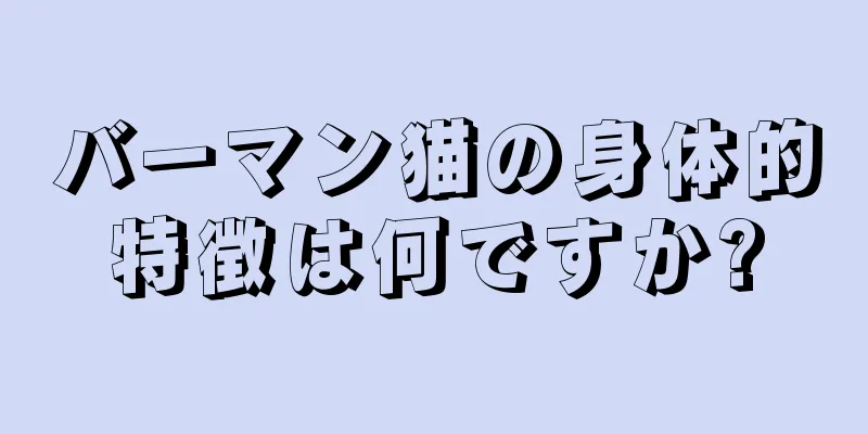 バーマン猫の身体的特徴は何ですか?