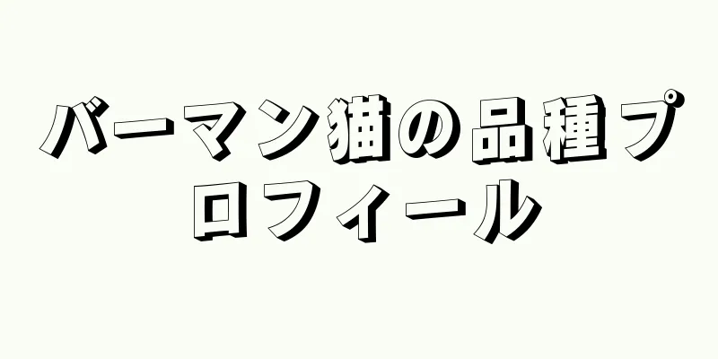 バーマン猫の品種プロフィール