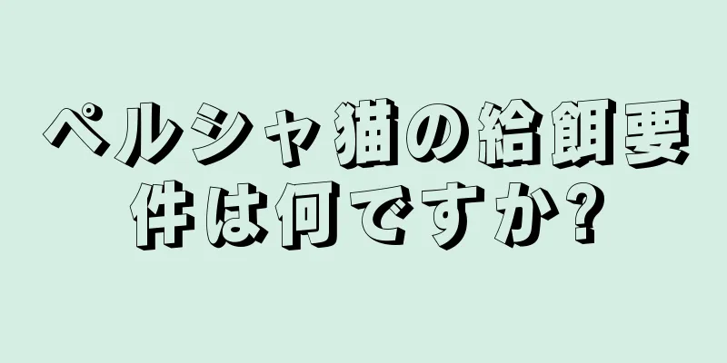 ペルシャ猫の給餌要件は何ですか?