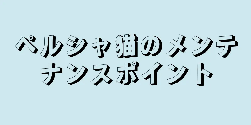 ペルシャ猫のメンテナンスポイント