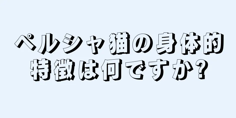 ペルシャ猫の身体的特徴は何ですか?